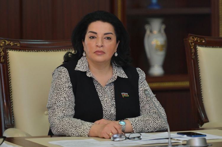 Deputat Bərdənin problemlərini qaldırdı