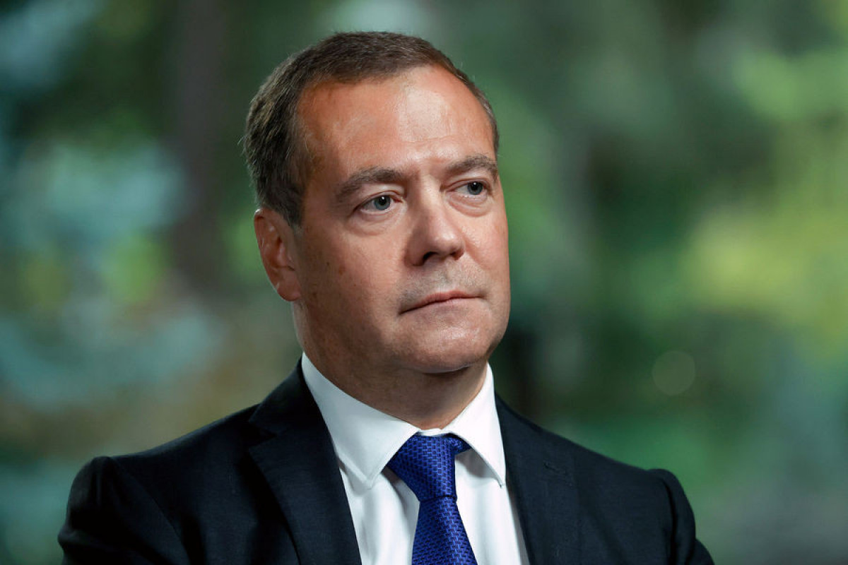 Medvedev Rusiyaya gələnlərin yoxlanılmasını TAPŞIRDI