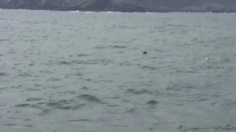 İstanbul boğazında mina təhlükəsi
