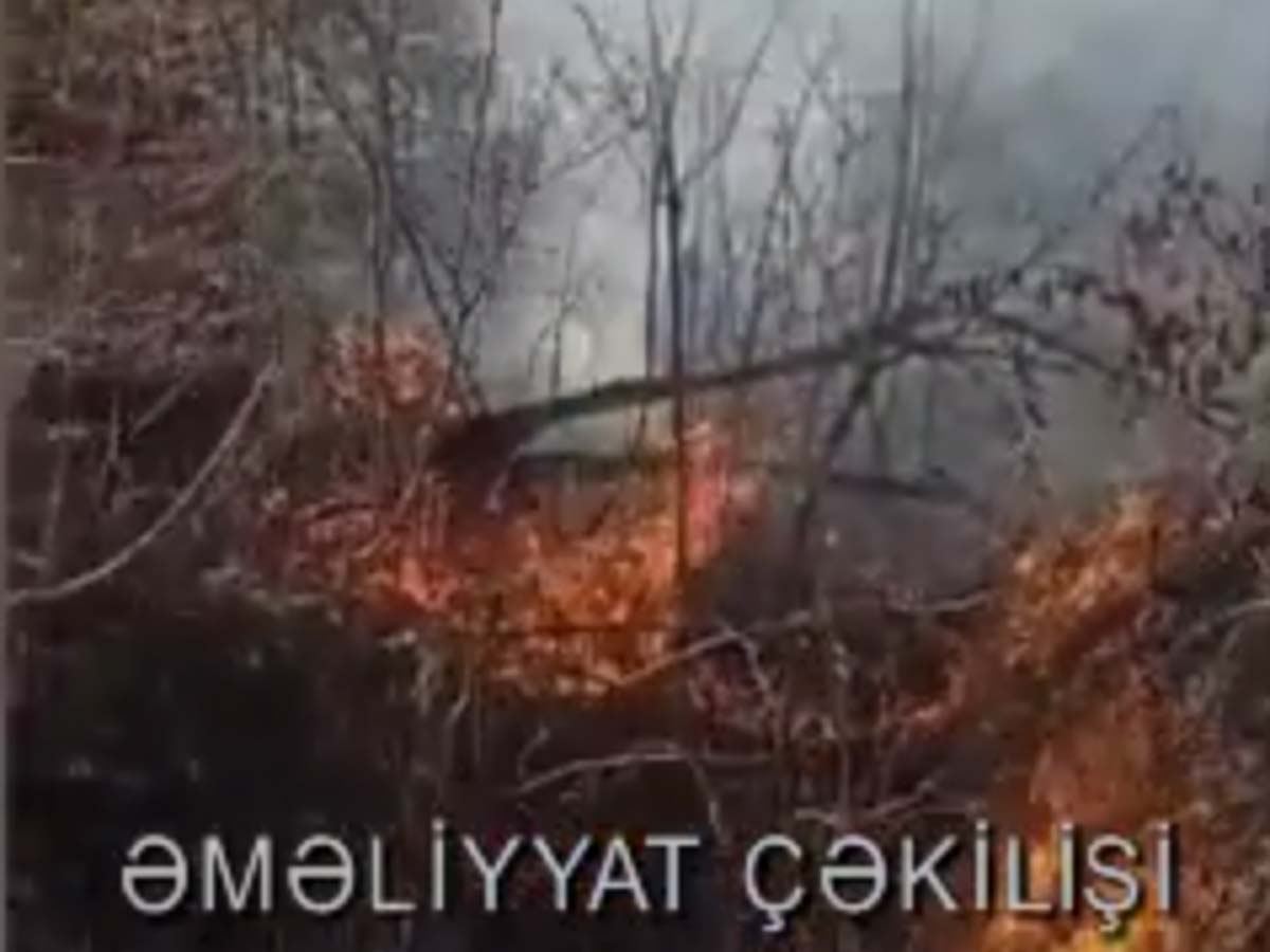 Oğuzda meşə yanğını söndürülüb - VİDEO