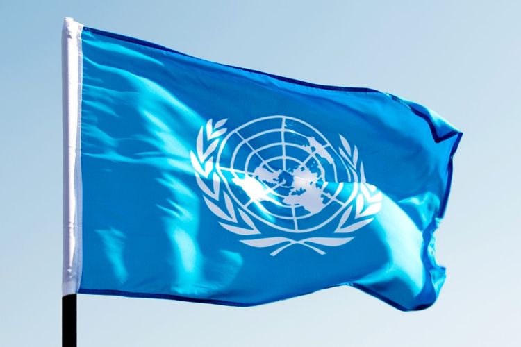BMT Ukrayna ilə bağlı komissiya yaratdı