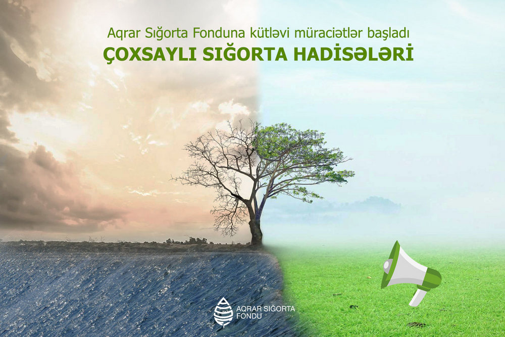 Müraciətlər ekspertlərin iştirakı ilə araşdırılır