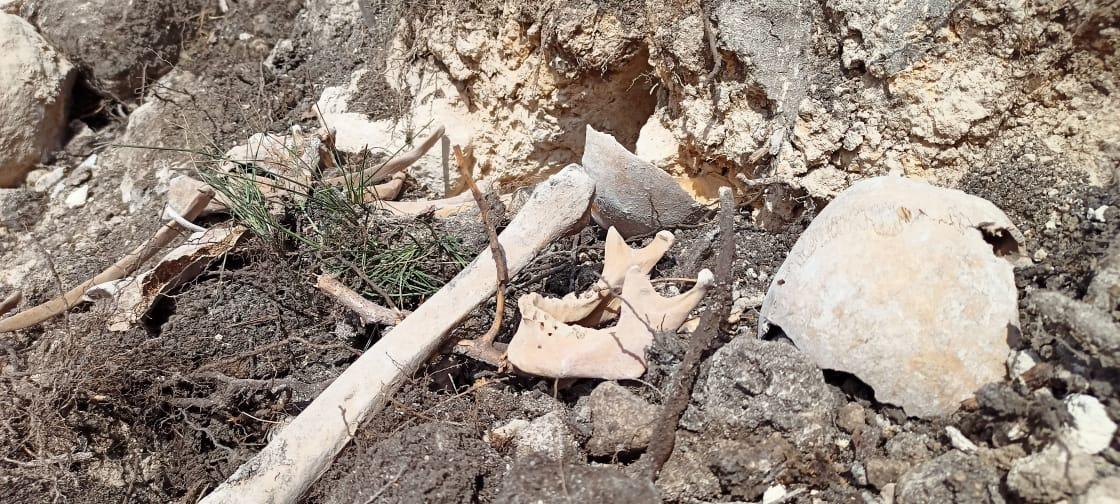 Fərruxda tapılan qalıqlar beynəlxalq məhkəmələrə təqdim olunmalıdır!