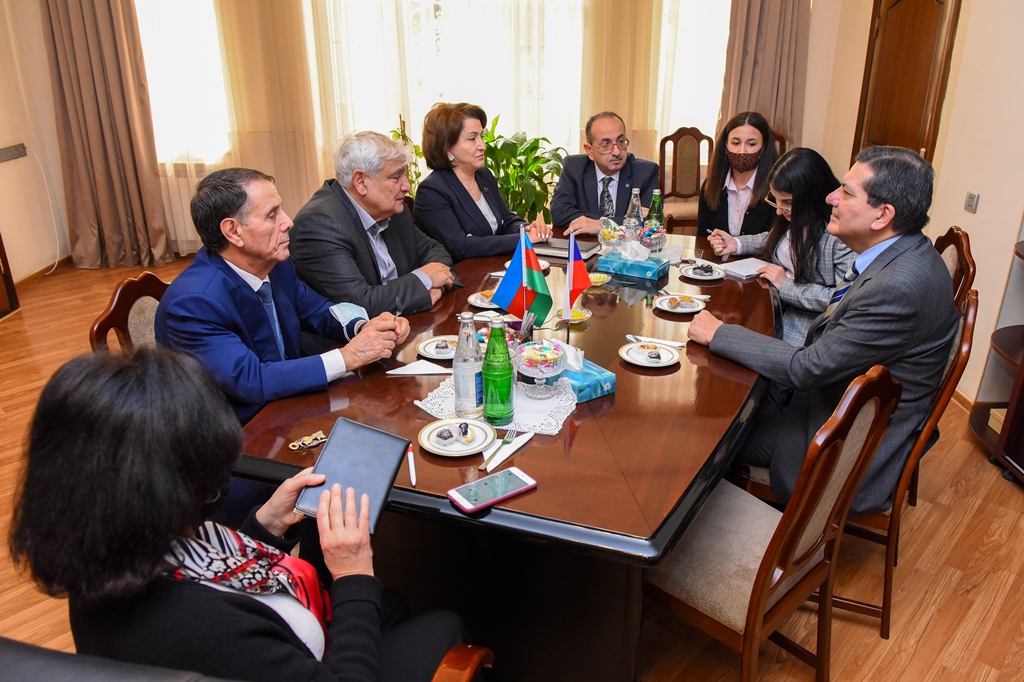 Kamal Abdulla Çilinin müvəqqəti işlər vəkili ilə görüşüb