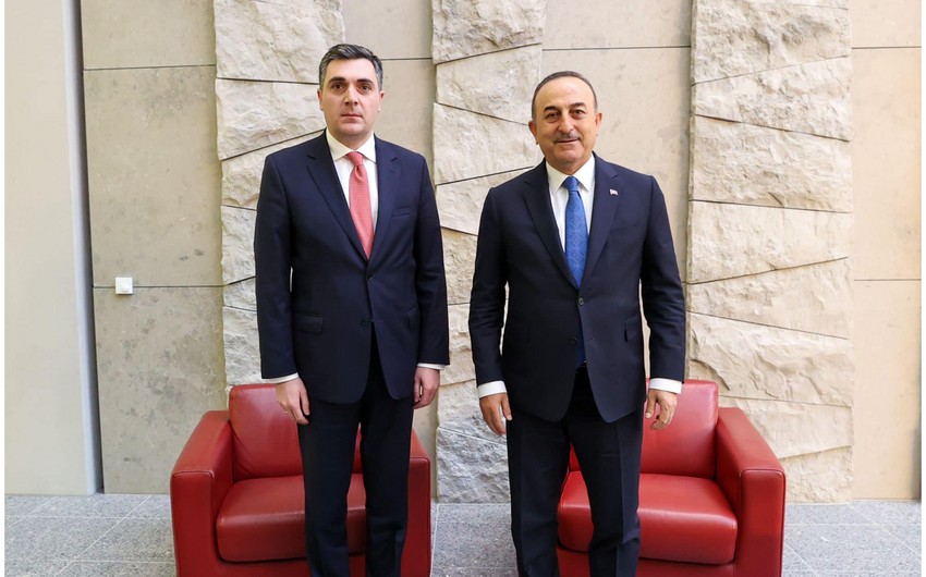 “Gürcüstanın ərazi bütövlüyünə dəstəyimiz tamdır” - Çavuşoğlu