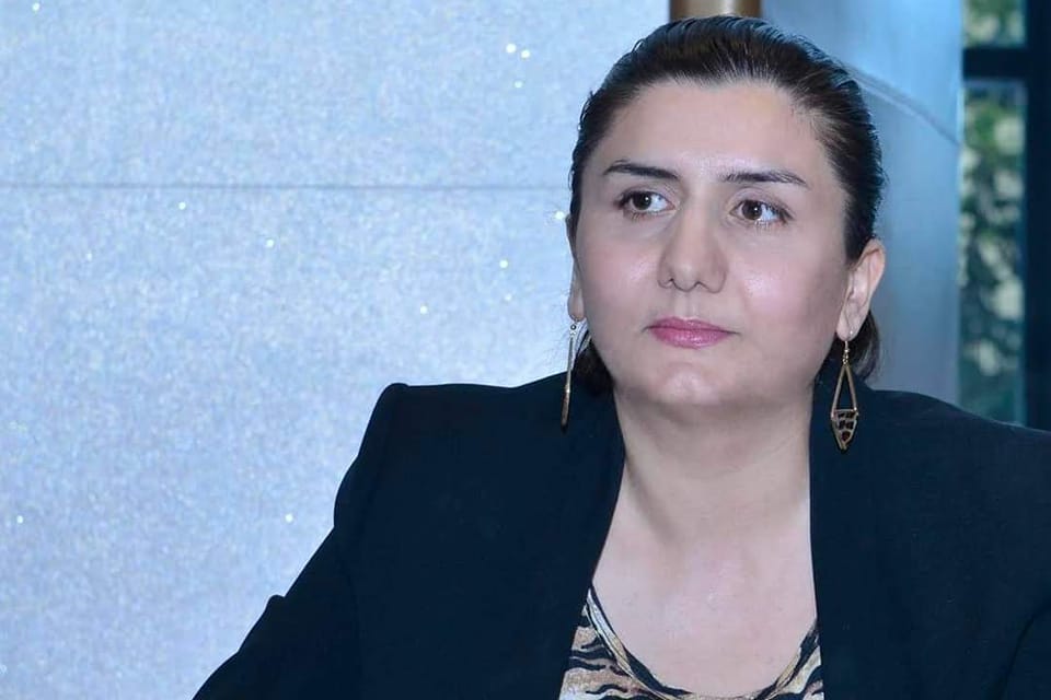 Zeynab Kazımova Hesablama Palatasından GETDİ