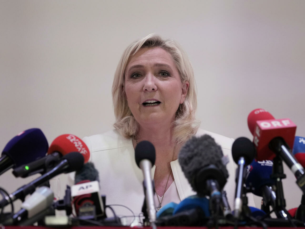 Le Pen mənimsəmədə ittiham olunur