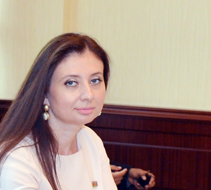 Ana dili xalqın varlığının ən əsas təminatçısıdır