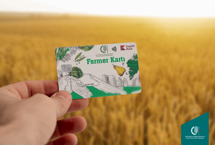 Subsidiyaların ödənişi davam edir