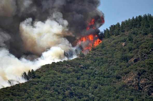 Nazirliklər yanğın təhlükəsilə bağlı hərəkətə keçdi