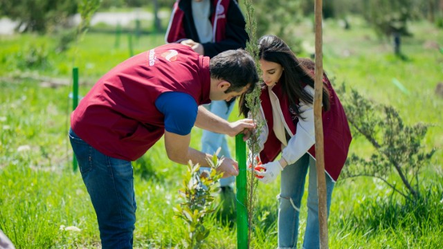 Daha bir neçə rayonda “Vətən Bağı” yaradıldı - FOTOLAR