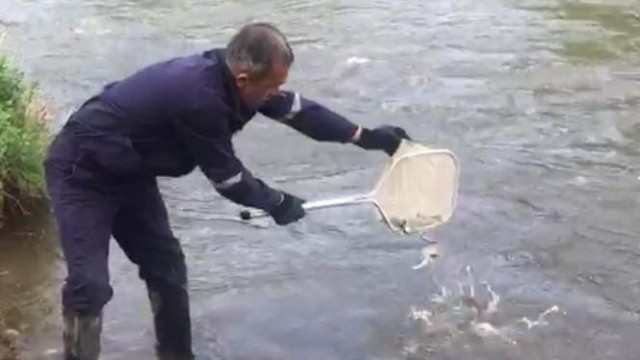 Həkəri və Bərgüşad çaylarına balıq körpələri buraxıldı