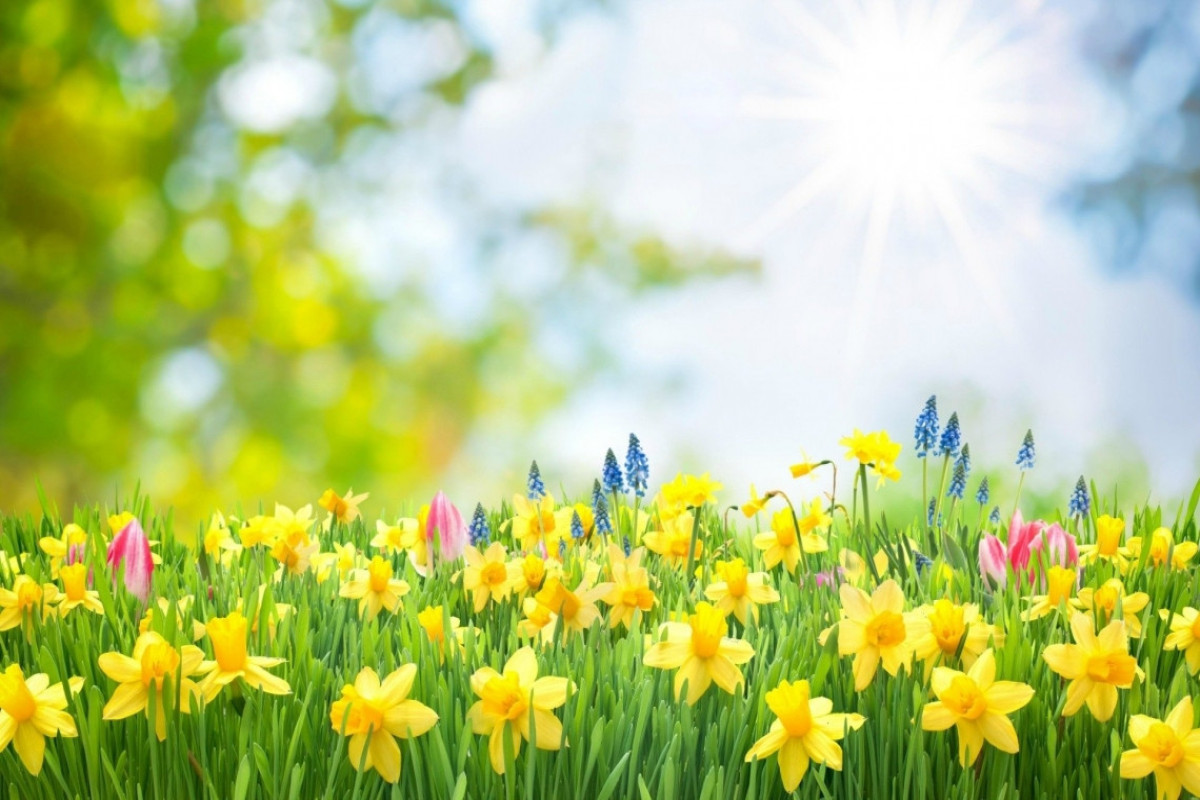 Mayın hava proqnozu - 36 dərəcə İSTİ