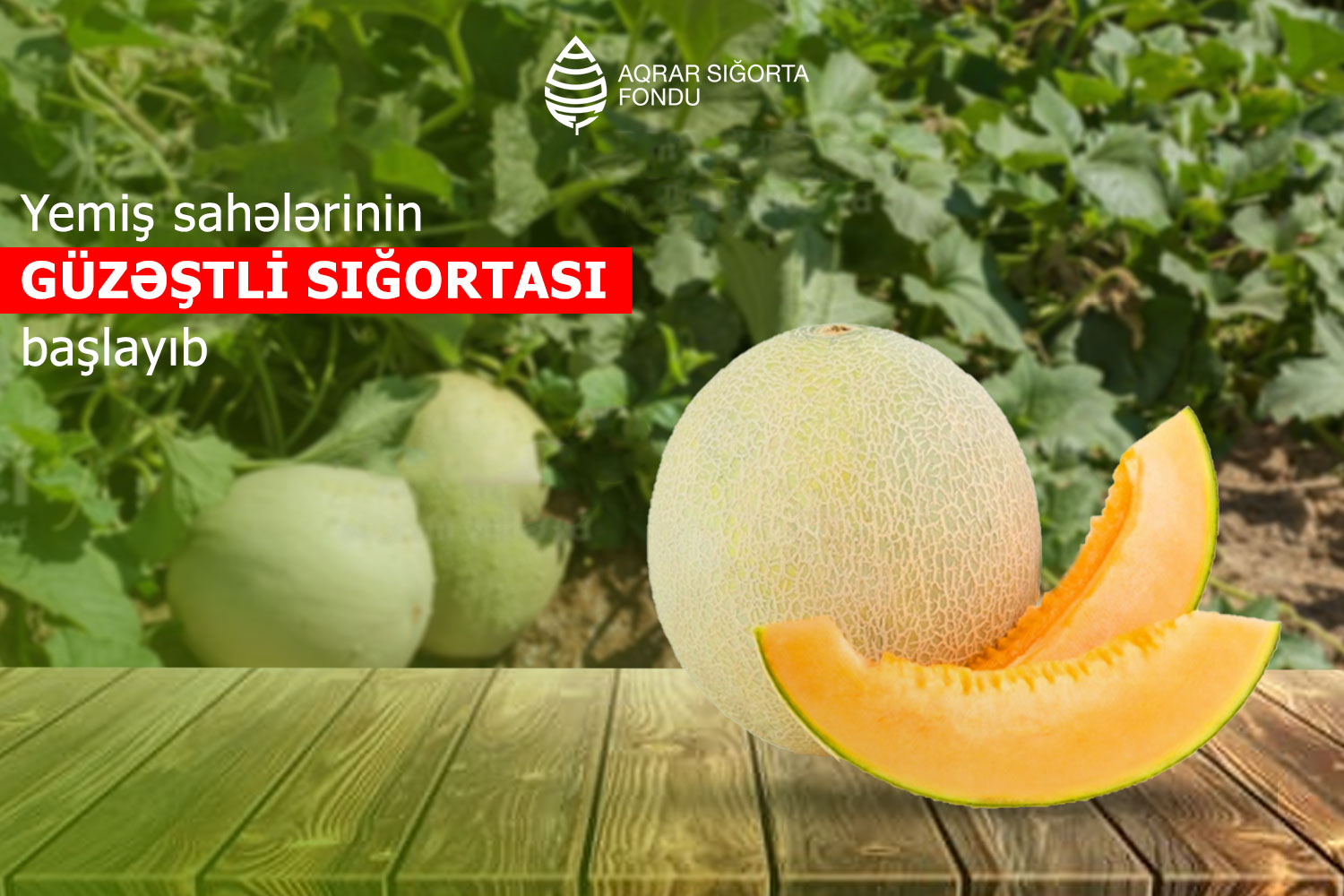 Yemiş sahələrinin güzəştli sığortası başlayıb