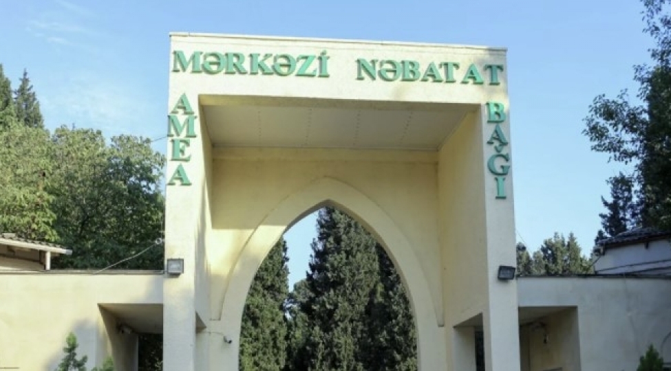 Mərkəzi Nəbatat Bağındakı qanunsuz tikililər SÖKÜLÜR
