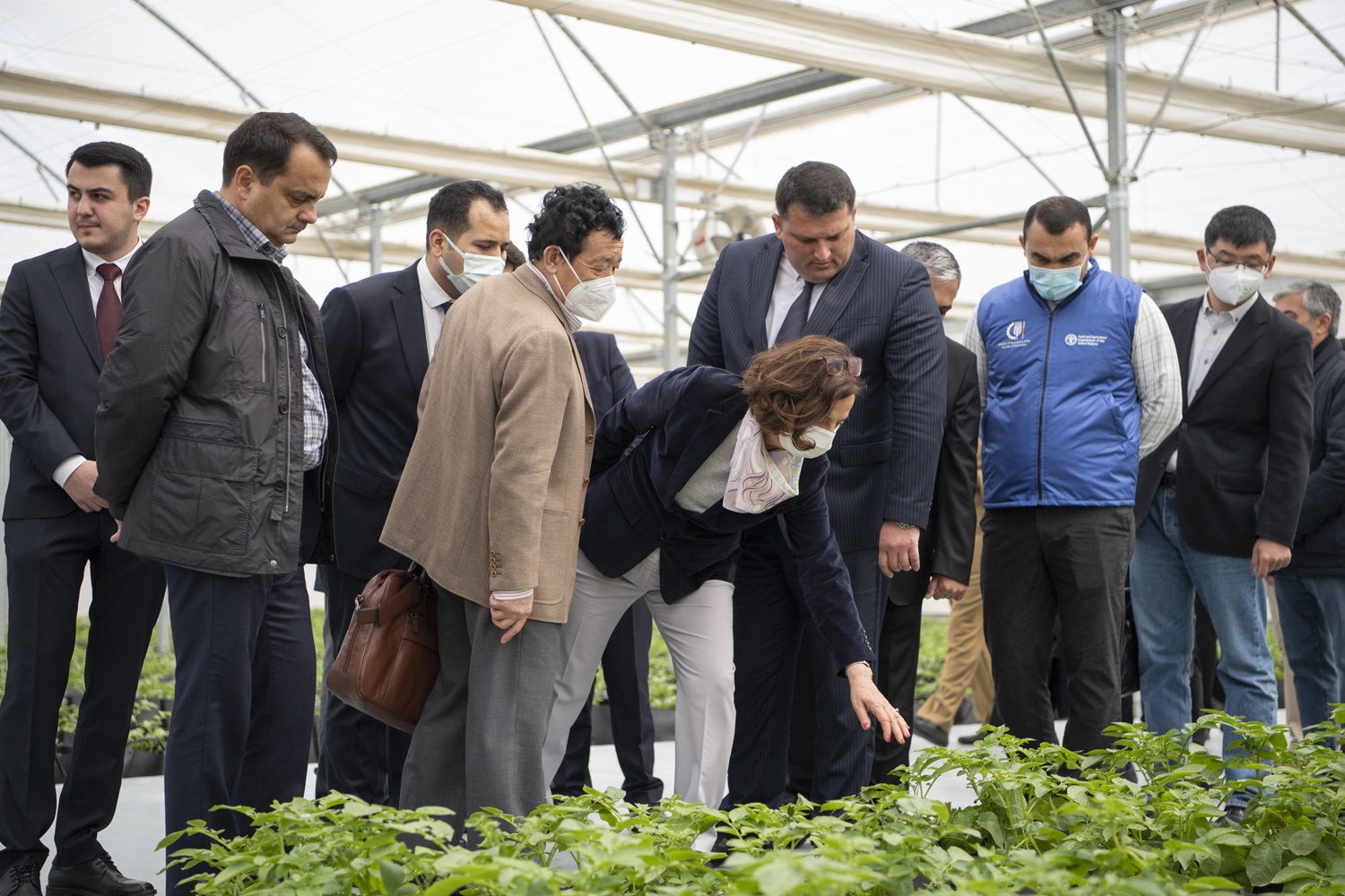 FAO rəhbəri Tərəvəzçilik Elmi Tədqiqat İnstitutunda - FOTO