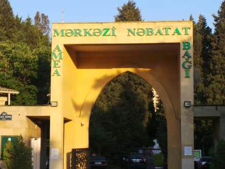 Mərkəzi Nəbatat bağının layihəsini xaricilər hazırlayır