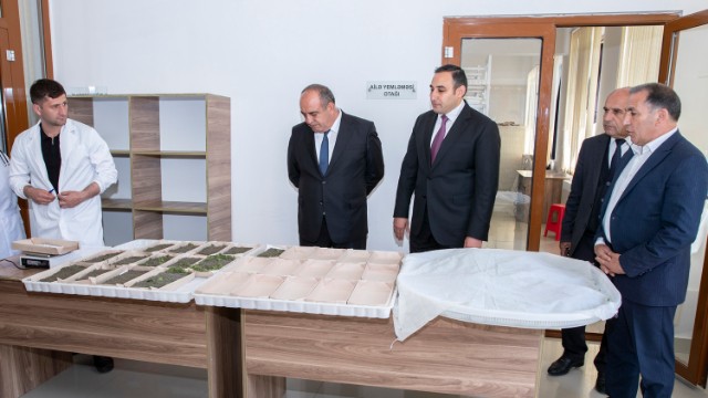 Kümçülərə ipəkqurdu toxumunun paylanması başa çatıb - FOTOLAR