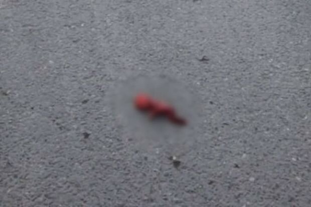 Ölmüş dölü bağ evinə atan qadın SAXLANILDI