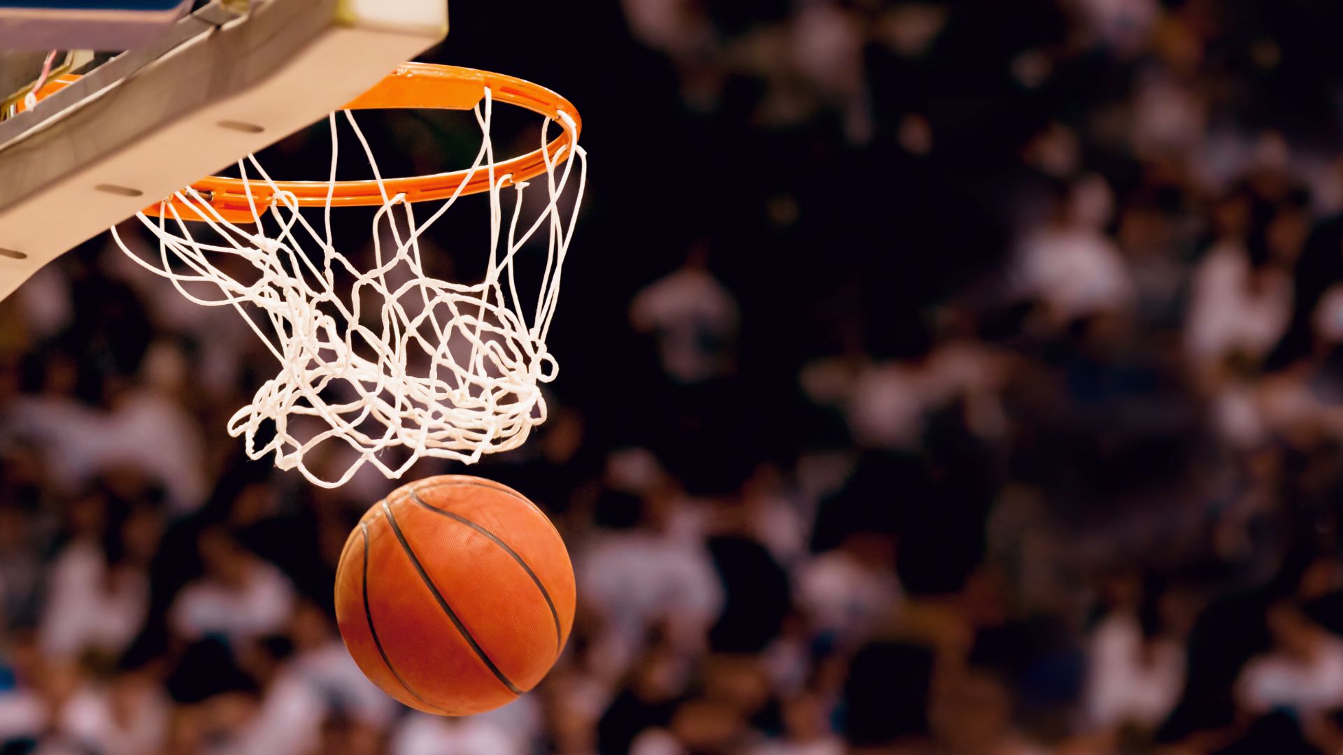Basketbolçularımız ikinci oldular