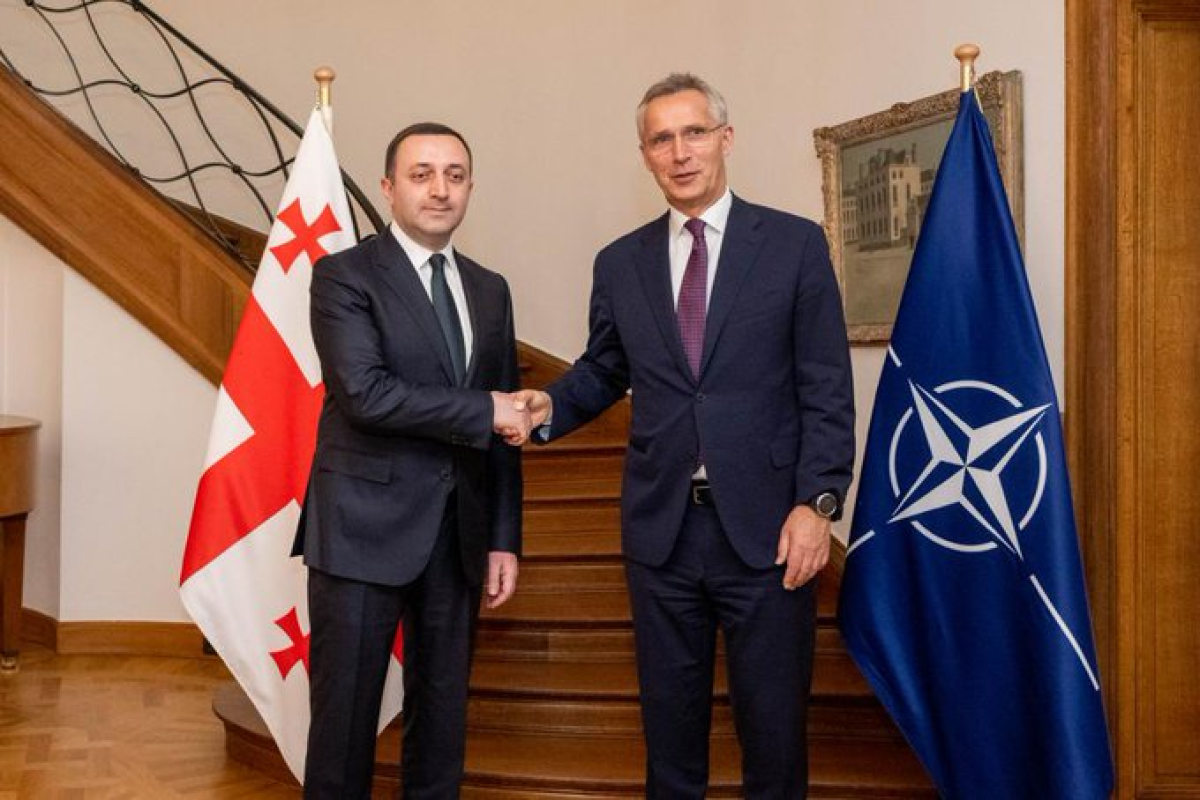 Qaribaşvili NATO-nun Baş katibi ilə görüşdü