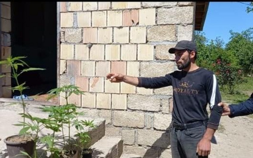 Şabranda narkotacir saxlanıldı