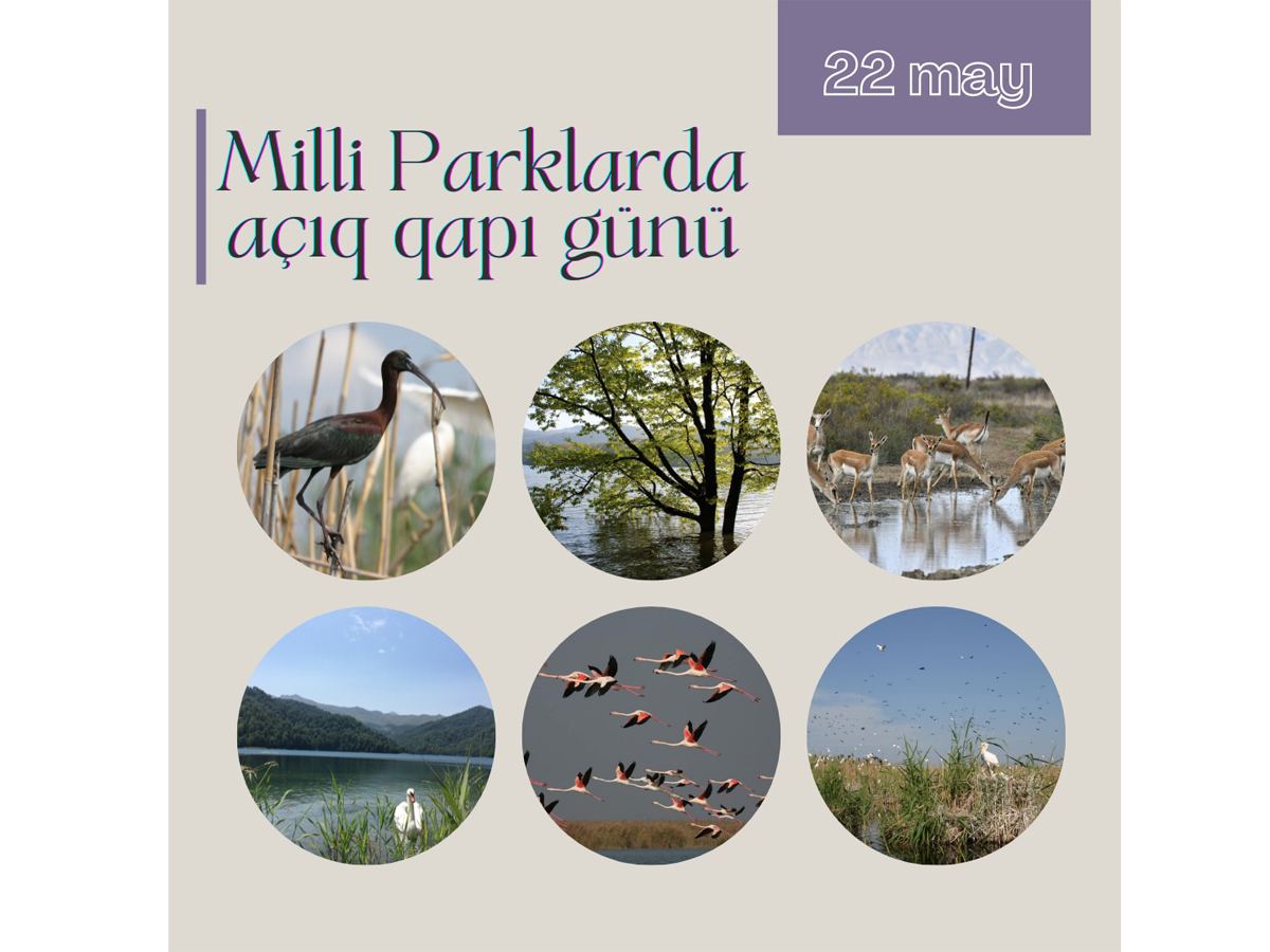 Sabah milli parklarda 