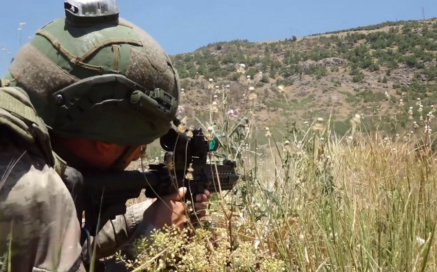 Suriyada daha 12 terrorçu zərərsizləşdirildi
