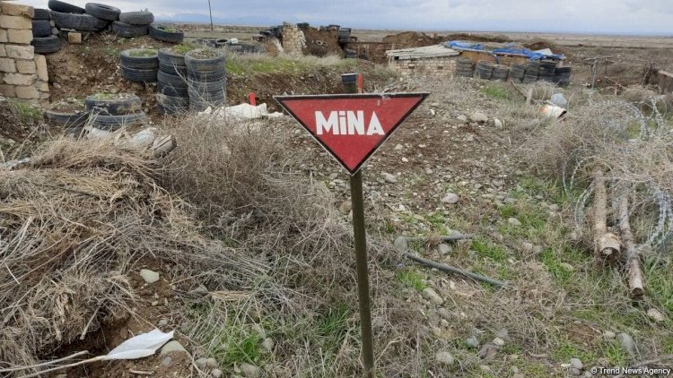 Prokurorluq minaya düşən hərbçilə bağlı məlumat YAYDI