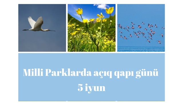 Bu gün milli parklarda 