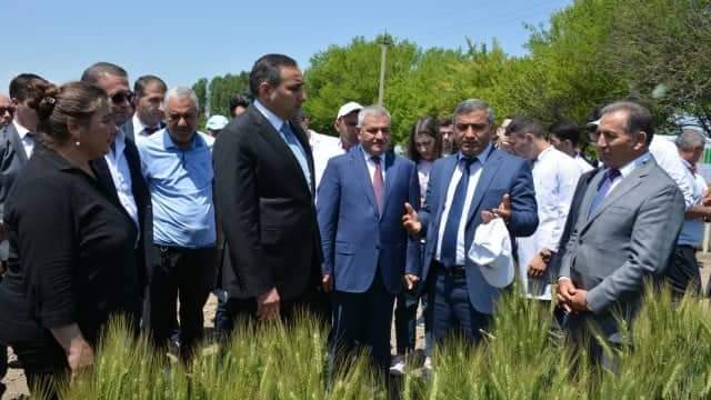 Tərtərdə tarla müşavirəsi keçirildi - FOTOLAR
