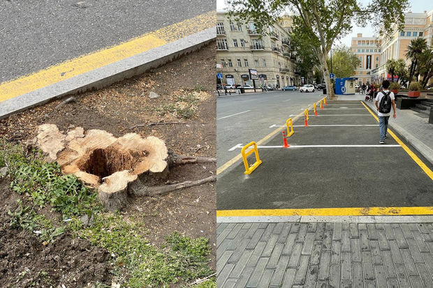 Qanunsuz parklanma Prezidentin göstərişilə LƏĞV EDİLDİ