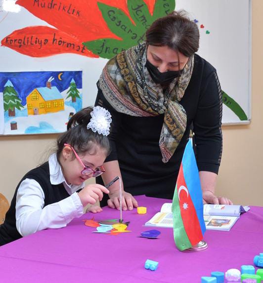 Bakıda 500-ə yaxın şagird fərdi təhsilə cəlb edilib