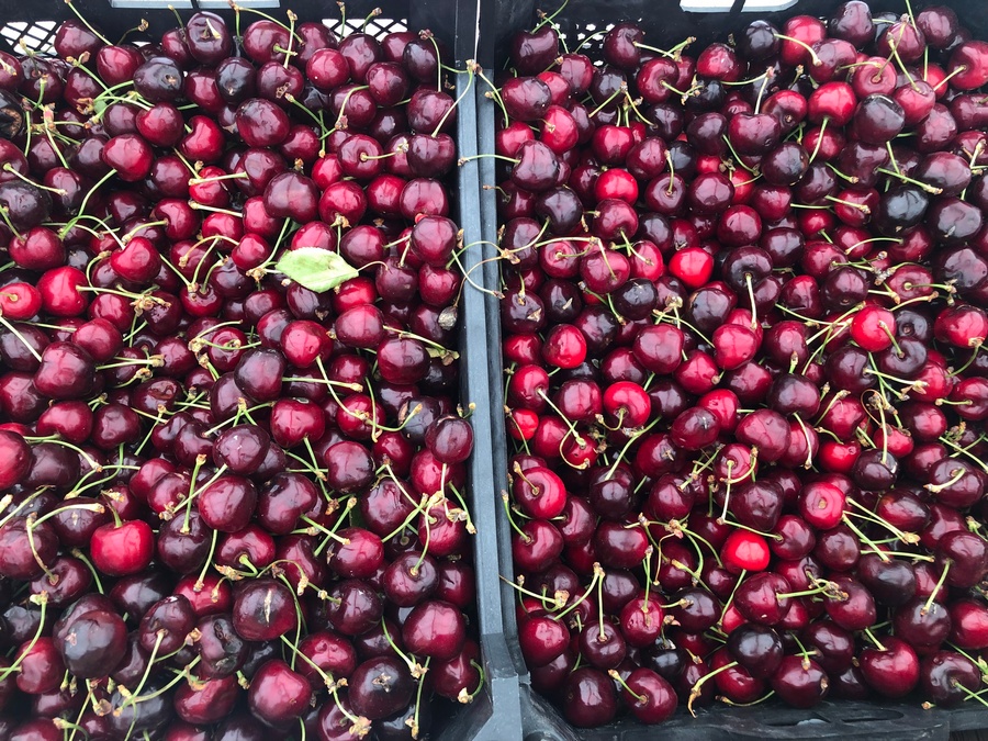 Həftəsonu “Kənddən Şəhərə” yarmarkaları təşkil olunacaq