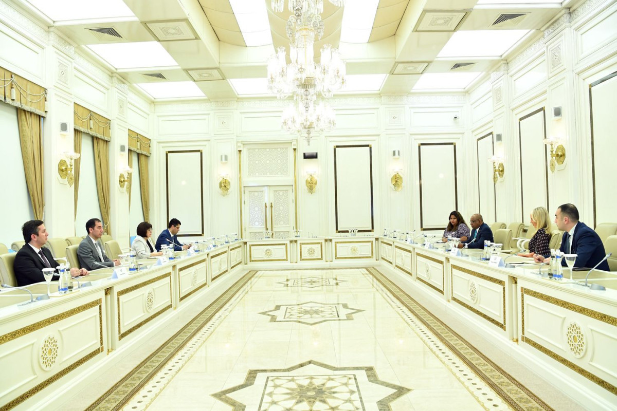 Sahibə Qafarova Abdulla Şahidlə GÖRÜŞDÜ