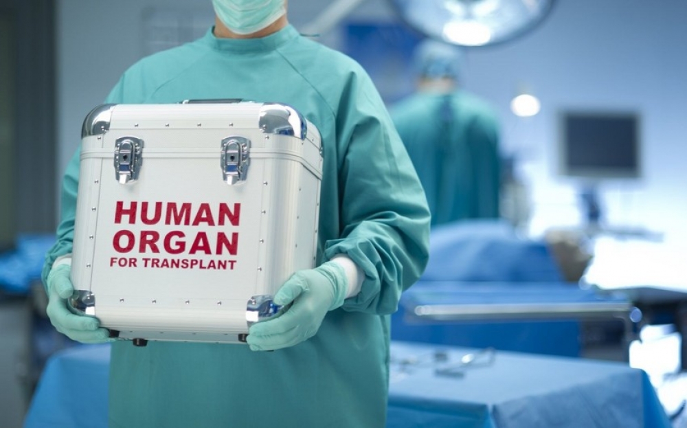 Orqan Transplantasiyası Mərkəzinin nizamanaməsi hökumətə təqdim edilib