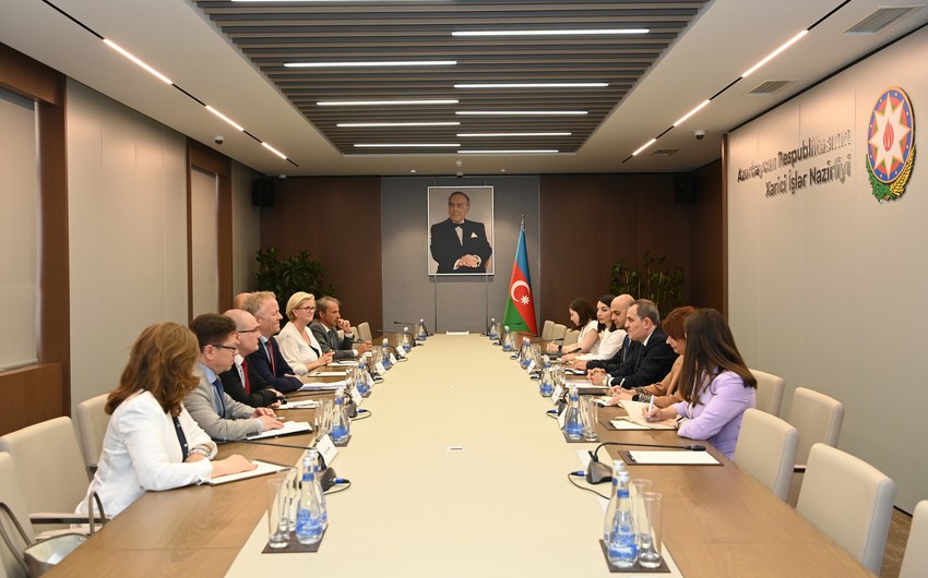 Nazir Avropa Şurasının rəsmisilə görüşdü