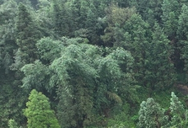 Yağış evi uçurdu, 5 nəfər öldü