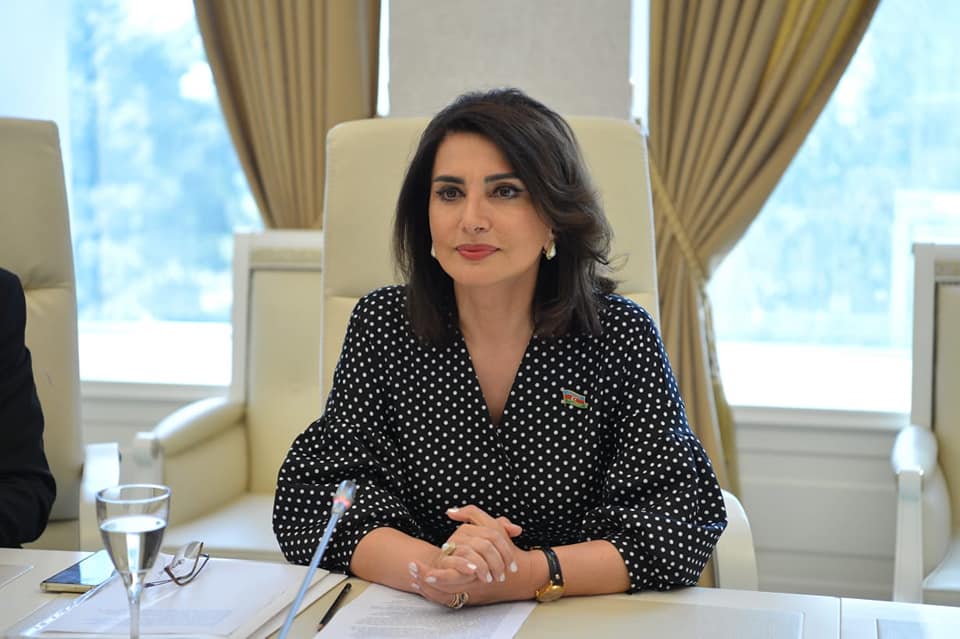 “Qazilər bütün qurumların qapısını döyür” - Jalə Əliyeva