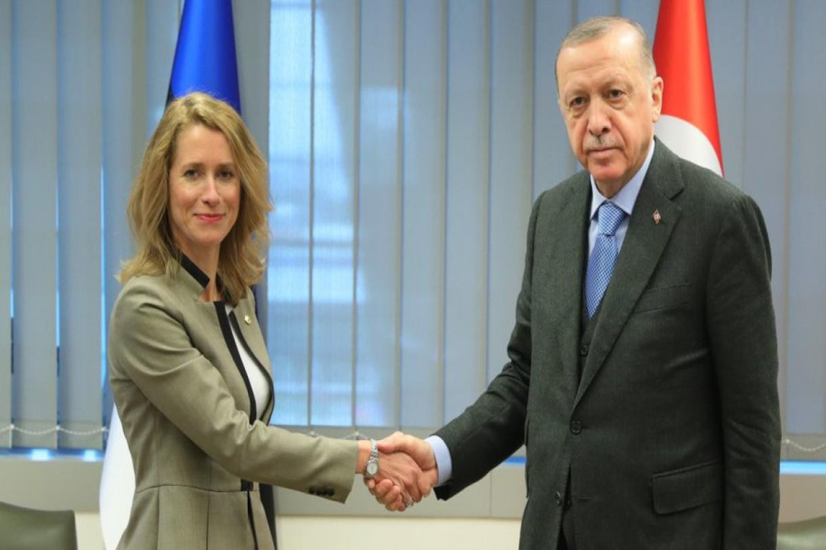 Ərdoğan Estoniya lideri ilə Ukraynadan danışdı