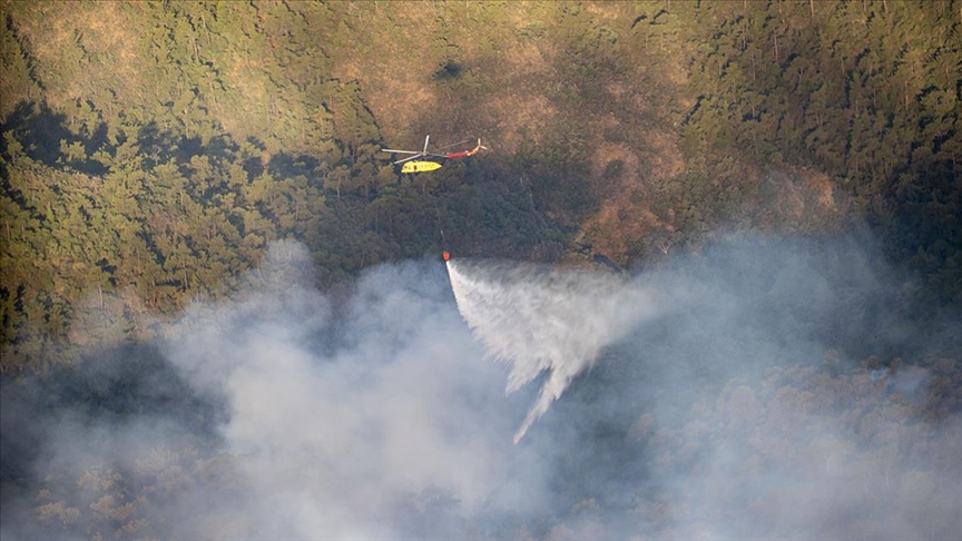 Türkiyədə meşə yanğınlarına 20 helikopter, 14 təyyarə cəlb edildi