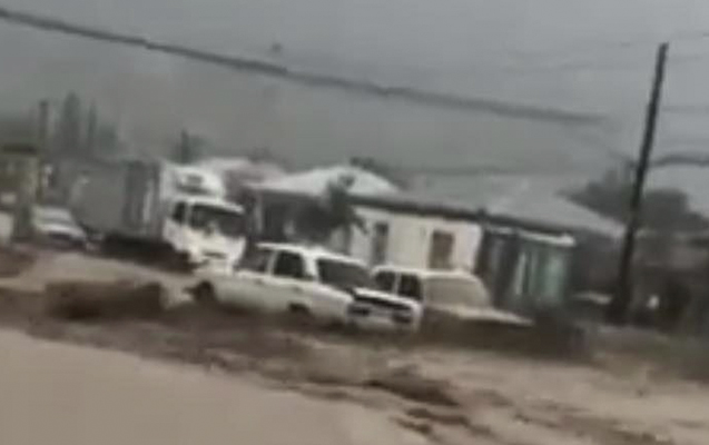 FHN selin fəsadları barədə məlumat YAYDI