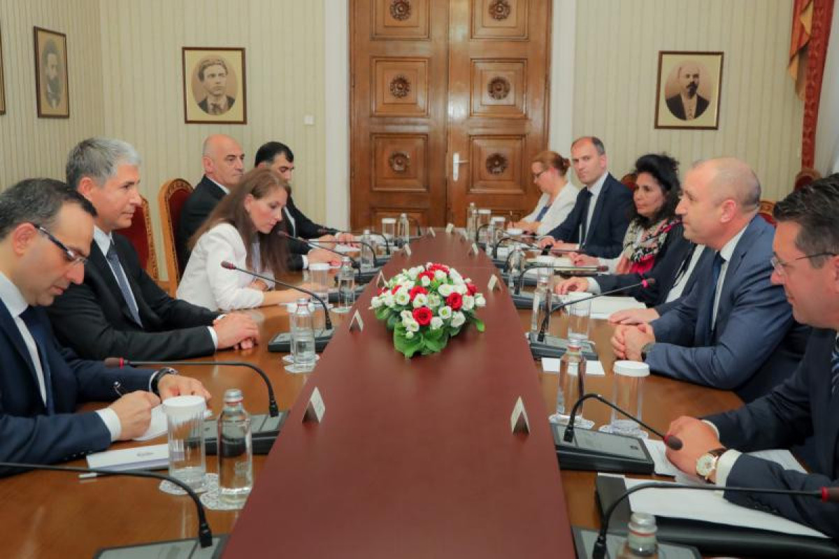 Vilayət Eyvazov bolqarıstan prezidentilə görüşüb