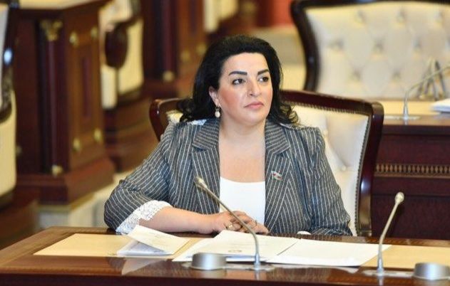 Bu qələbə dövlətçilik tariximizin zəfər salnaməsidir