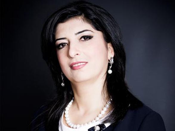 Azərbaycan Ordusu modern orduya çevrilib