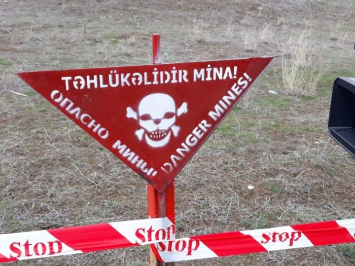 İşğal dövründə Ermənistan 1 milyondan artıq mina basdırıb