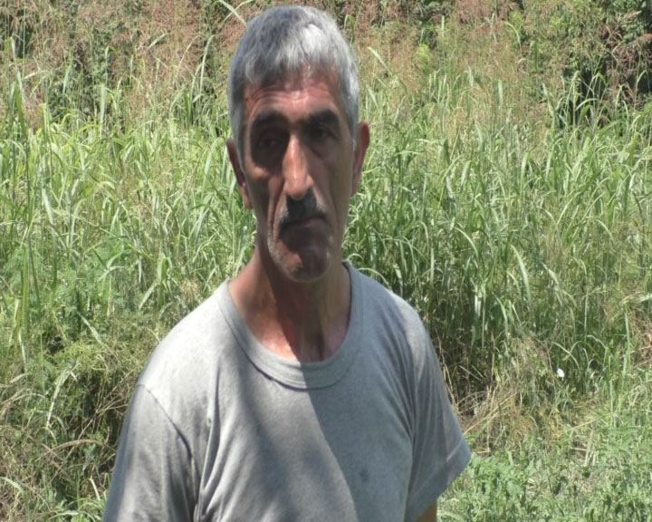 İcarəyə götürdüyü sahədə narkotik yetişdirdi - FOTO
