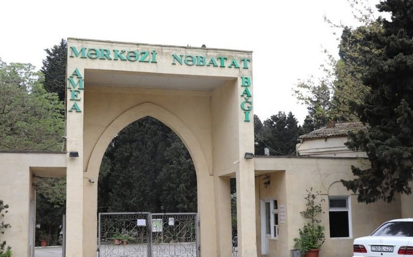 “Mərkəzi Nəbatat Bağı” və “Dendrologiya Bağı” haqda YENİ QƏRAR