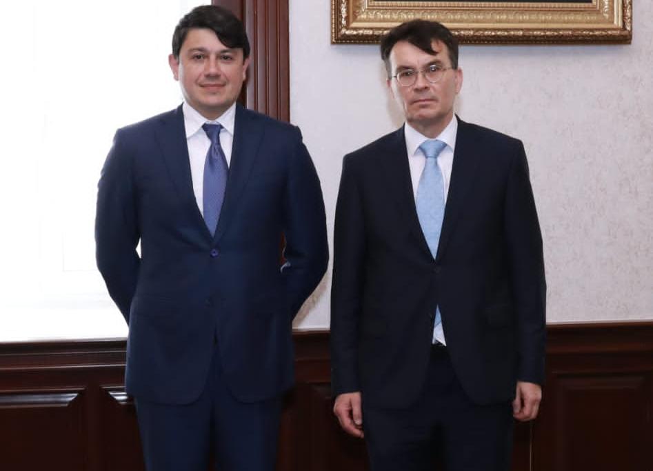 Komitə sədri Şuşa haqqında kitab yazan alman alimlə görüşdü