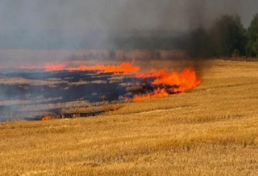FHN Şabrandakı yanğınla bağlı yeni məlumat yaydı - YENİLƏNİB